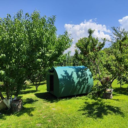 Nataly Campsite Yeghegnadzor 外观 照片