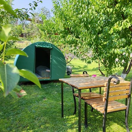 Nataly Campsite Yeghegnadzor 外观 照片