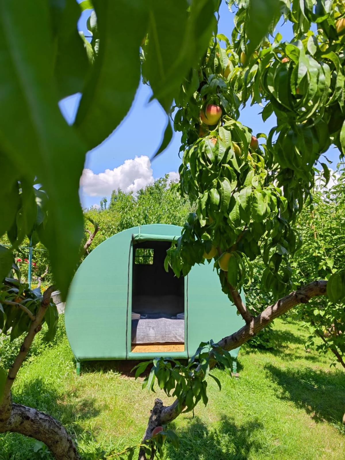 Nataly Campsite Yeghegnadzor 外观 照片