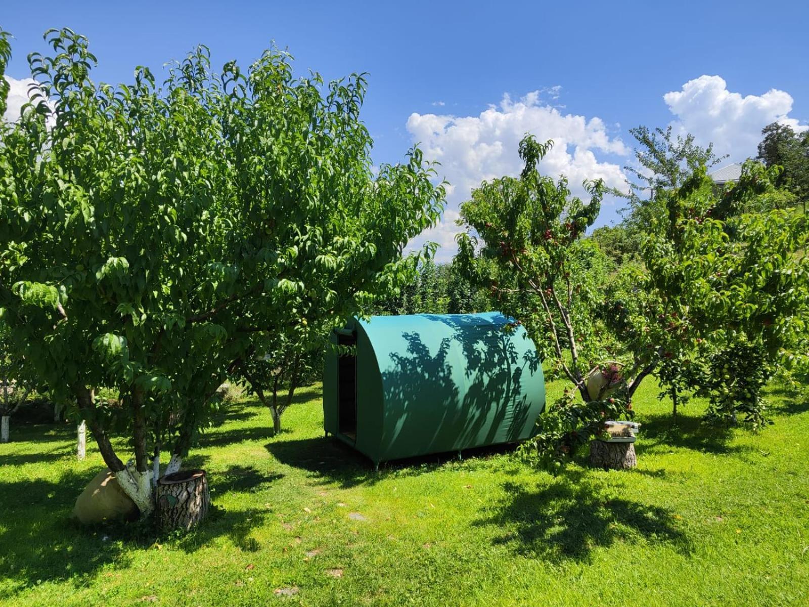 Nataly Campsite Yeghegnadzor 外观 照片
