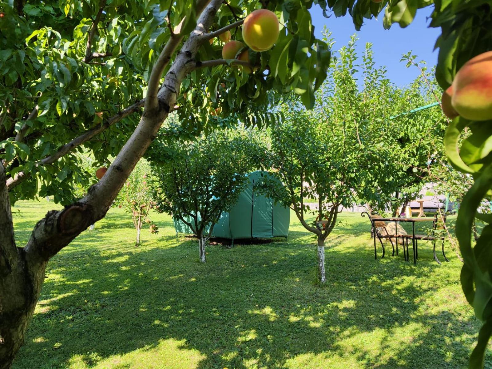 Nataly Campsite Yeghegnadzor 外观 照片